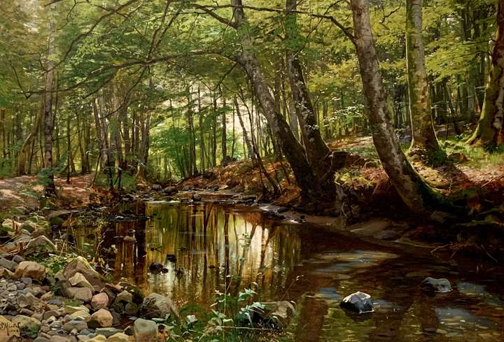 A spring day in the forest of Saeby Skov